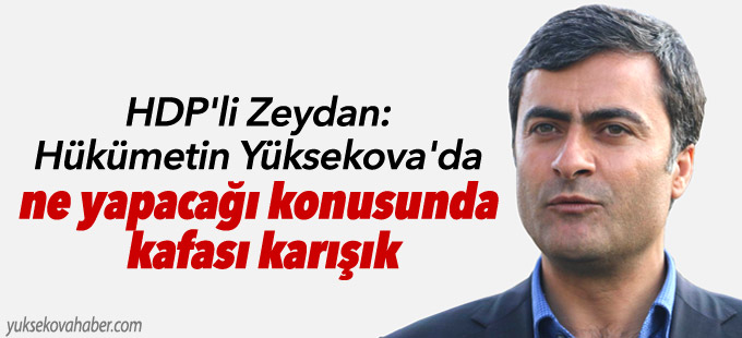HDP'li Zeydan: Hükümetin Yüksekova'da ne yapacağı konusunda kafası karışık