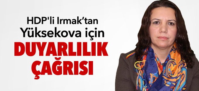 HDP'li Irmak: "Geverlilere el açtırmamak için el ele verelim"