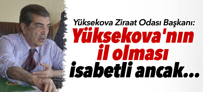 'Yüksekova'nın il olması isabetli ancak...'