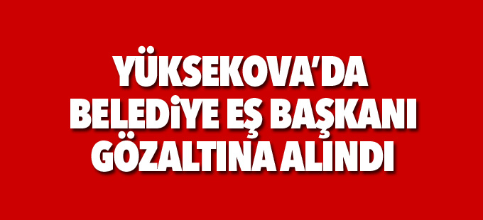 Yüksekova'da Belediye Eş Başkanı ve 2 kişi gözaltına alındı