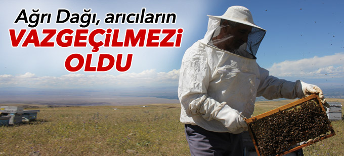Ağrı Dağı arıcıların vazgeçilmezi oldu