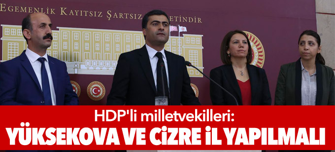 HDP'li milletvekilleri: Yüksekova ve Cizre il yapılmalı