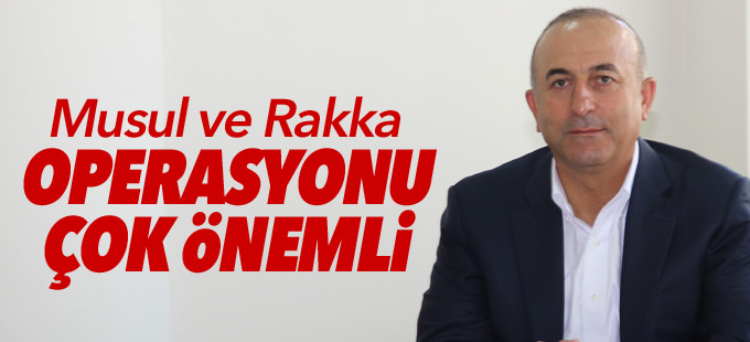 Çavuşoğlu: Musul ve Rakka operasyonu çok önemli