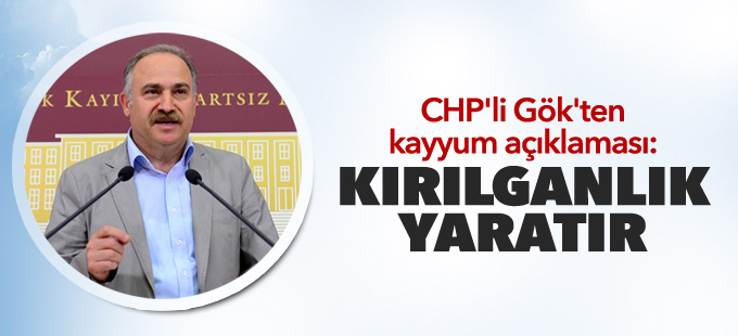 CHP’li Gök: Kayyum siyasette kırılganlıklar yaratır