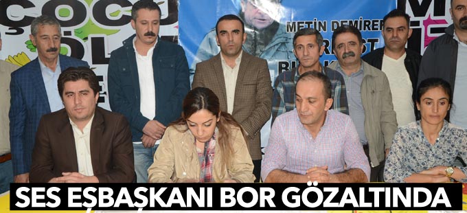 SES Hakkari Şube Başkanı Bor gözaltına alındı
