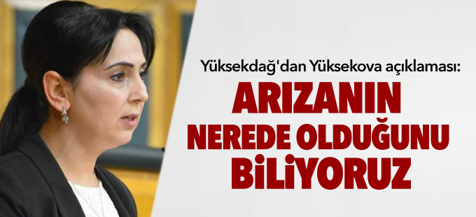 Yüksekdağ'dan Yüksekova açıklaması: Arızanın nerede olduğunu biliyoruz