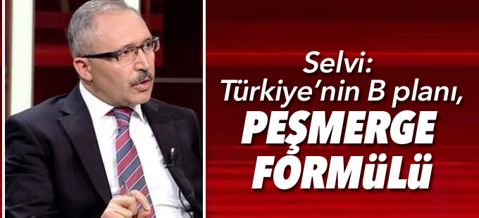Selvi: Türkiye’nin B planı, Peşmerge formülü