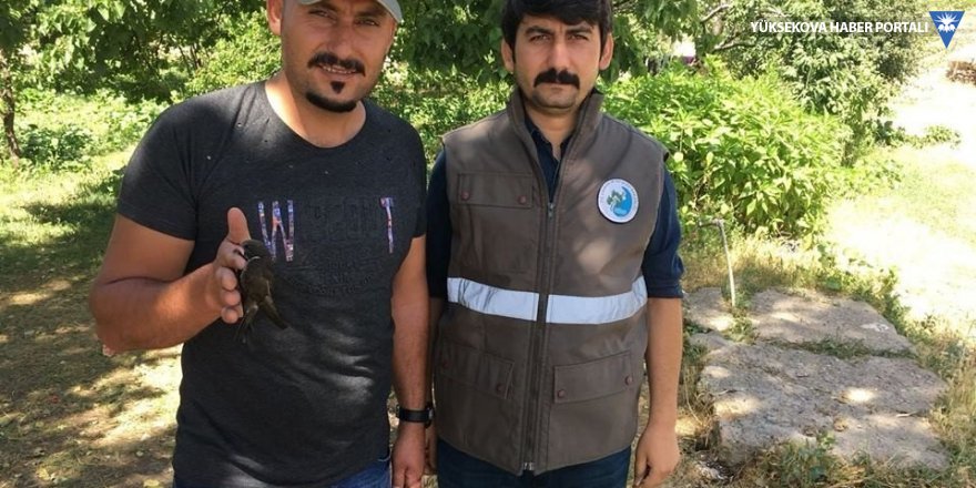 Yaralı Ebabil kuşu tedavi altına alındı