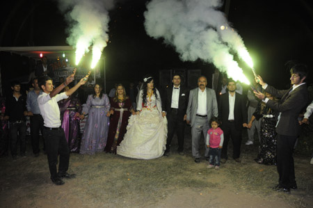 Yüksekova Düğünleri - Foto Galeri - 4 Eylül 2011 13