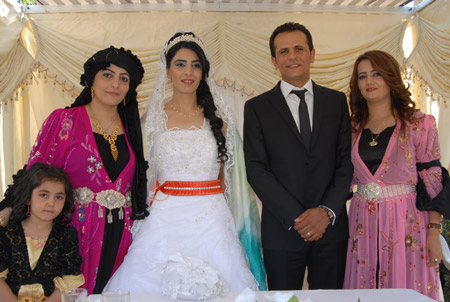 Yüksekova Düğünleri - Foto Galeri - 4 Eylül 2011 34