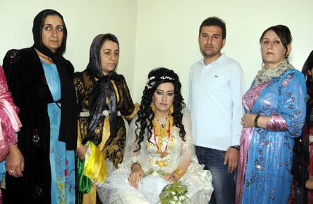 Yüksekova Düğünleri - Foto Galeri - 4 Eylül 2011 78