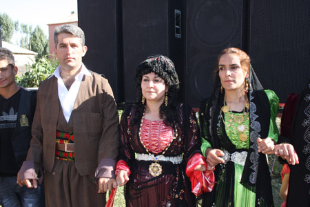 Yüksekova Düğünleri - Foto Galeri - 11 Eylül 2011 133