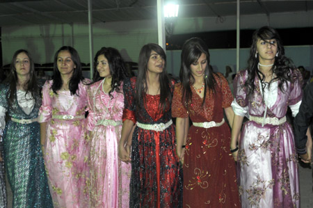 Yüksekova Düğünleri - Foto Galeri - 11 Eylül 2011 183