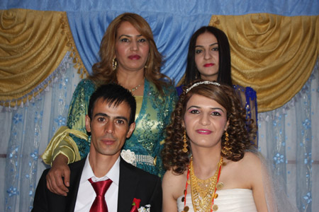 Yüksekova Düğünleri - Foto Galeri - 11 Eylül 2011 221