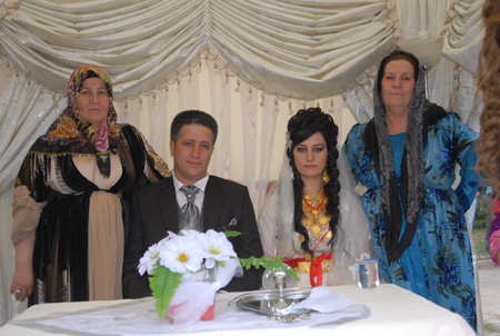 Yüksekova Düğünleri - Foto Galeri - 25  Eylül 2011 208