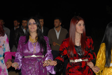 Yüksekova Düğünleri - Foto Galeri - 25  Eylül 2011 228