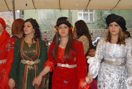 Yüksekova Düğünleri - Foto Galeri - 25  Eylül 2011 54