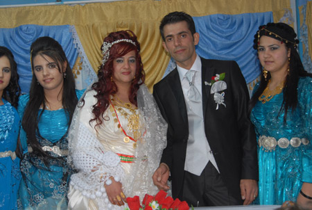 Yüksekova Düğünleri - Foto Galeri - 25  Eylül 2011 60