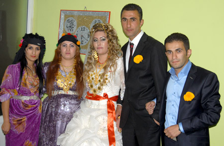 Yüksekova Düğünleri - Foto Galeri - 25  Eylül 2011 66