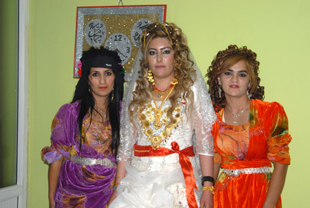 Yüksekova Düğünleri - Foto Galeri - 25  Eylül 2011 67