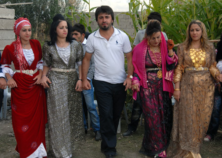Yüksekova Düğünleri - Foto Galeri - 25  Eylül 2011 73