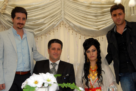 Yüksekova Düğünleri - Foto Galeri - 25  Eylül 2011 85