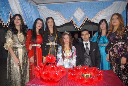 Yüksekova Düğünleri - Foto Galeri - 2 Ekim 2011 106