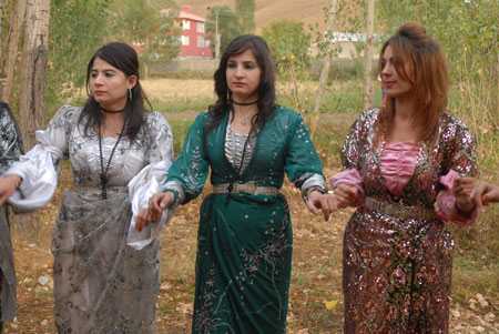 Yüksekova Düğünleri - Foto Galeri - 2 Ekim 2011 115
