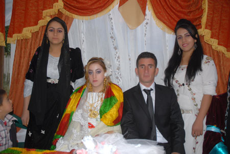 Yüksekova Düğünleri - Foto Galeri - 2 Ekim 2011 130