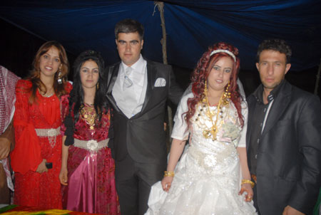 Yüksekova Düğünleri - Foto Galeri - 2 Ekim 2011 151
