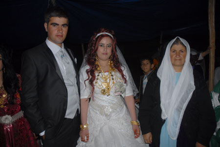 Yüksekova Düğünleri - Foto Galeri - 2 Ekim 2011 152