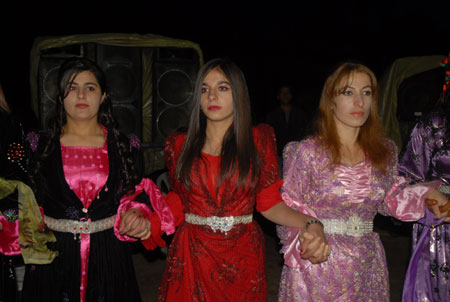 Yüksekova Düğünleri - Foto Galeri - 2 Ekim 2011 154