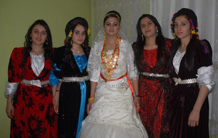 Yüksekova Düğünleri - Foto Galeri - 2 Ekim 2011 216