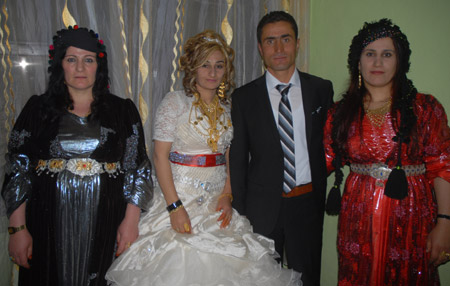 Yüksekova Düğünleri - Foto Galeri - 2 Ekim 2011 243