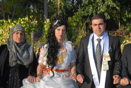 Yüksekova Düğünleri - Foto Galeri - 2 Ekim 2011 91