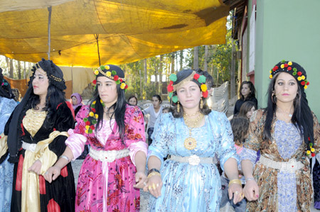 Yüksekova Düğünleri - Foto Galeri - 8 Ekim 2011 190