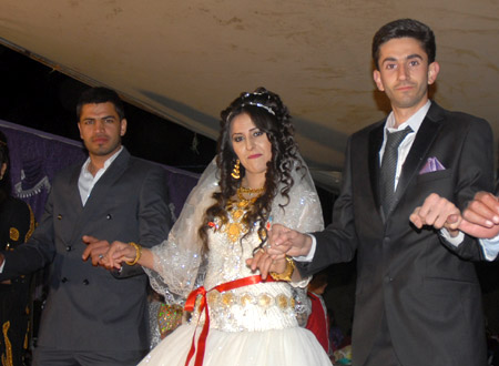 Yüksekova Düğünleri - Foto Galeri - 8 Ekim 2011 198