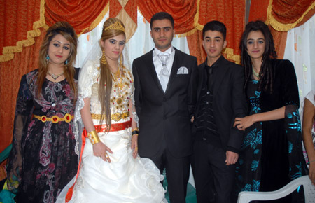 Yüksekova Düğünleri - Foto Galeri - 8 Ekim 2011 223
