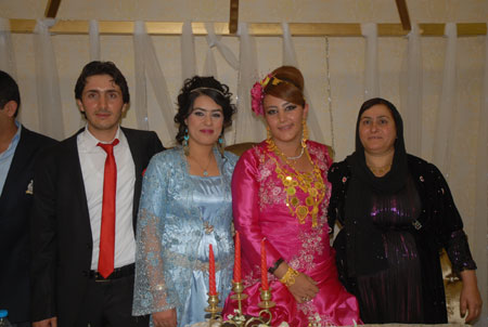 Yüksekova Düğünleri 10-16 Ekim 2011 103