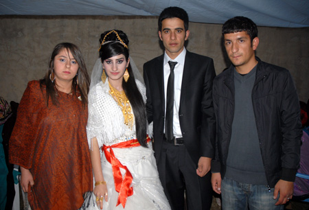 Yüksekova Düğünleri 10-16 Ekim 2011 128
