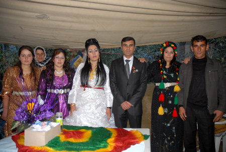 Yüksekova Düğünleri 10-16 Ekim 2011 130