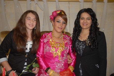 Yüksekova Düğünleri 10-16 Ekim 2011 188