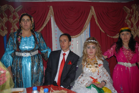 Yüksekova Düğünleri - Foto Galeri - 22 Ekim 2011 101