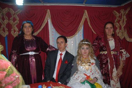 Yüksekova Düğünleri - Foto Galeri - 22 Ekim 2011 102
