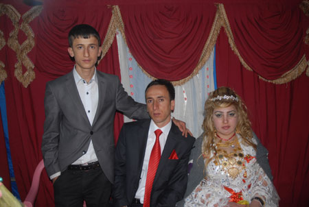 Yüksekova Düğünleri - Foto Galeri - 22 Ekim 2011 103