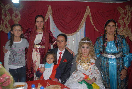 Yüksekova Düğünleri - Foto Galeri - 22 Ekim 2011 104