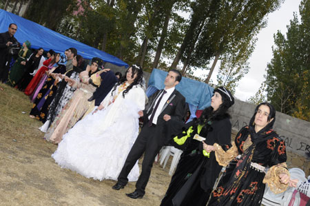 Yüksekova Düğünleri - Foto Galeri - 22 Ekim 2011 111