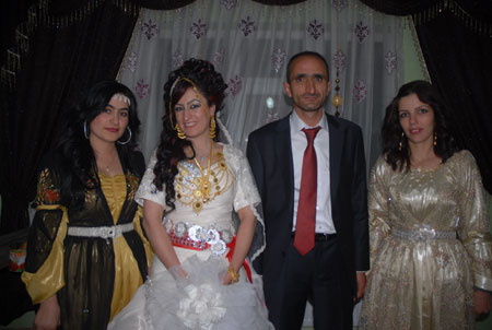 Yüksekova Düğünleri - Foto Galeri - 22 Ekim 2011 155