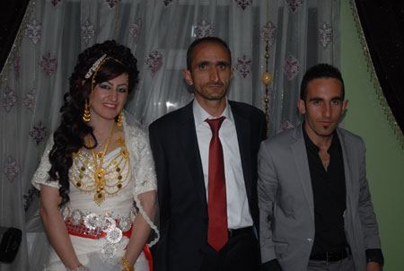 Yüksekova Düğünleri - Foto Galeri - 22 Ekim 2011 162
