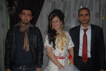 Yüksekova Düğünleri - Foto Galeri - 22 Ekim 2011 166